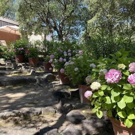 Casa Mar, Prázdninový dům *